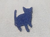 Ĥлԡš6