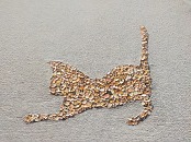 Ĥлԡš9